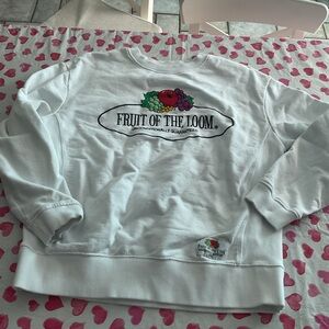 Fruit of the Loom Kids Light Gray Sweatshirt